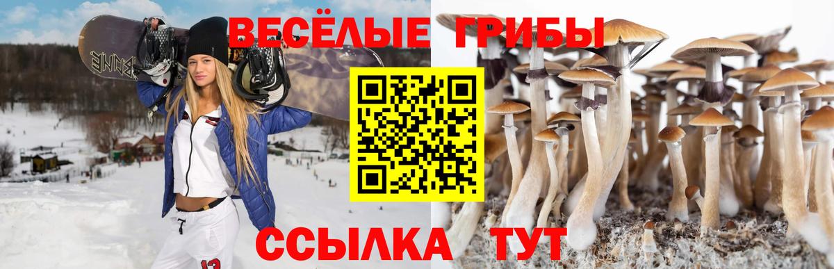 Галлюциногенные грибы MAGIC MUSHROOMS Краснознаменск